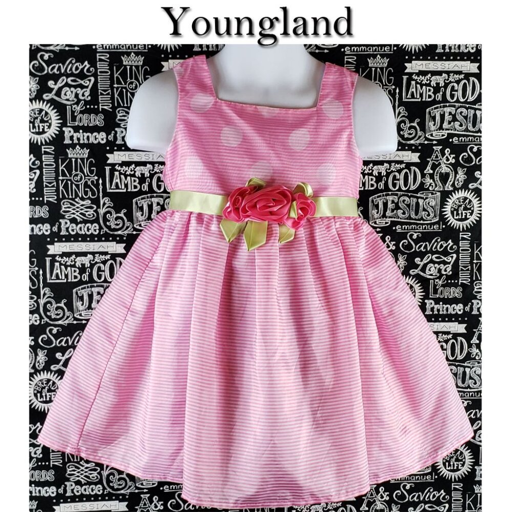 Youngland Pink Sleeveless Dress Size 2T